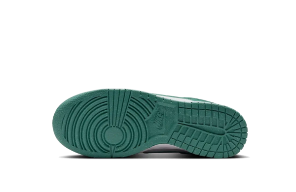 Nike Dunk Low Next Nature Bicoastal