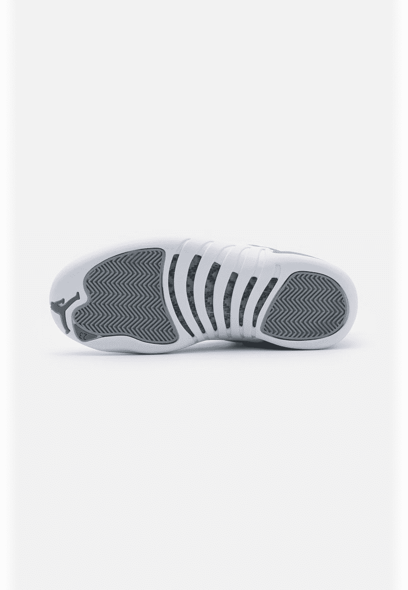 Air Jordan 12 Retro Stealth