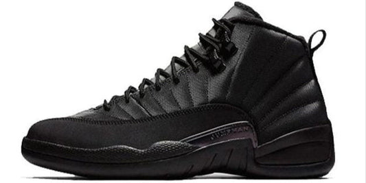 Air Jordan 12 Retro ALL BLACK