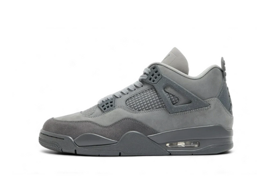 Air Jordan 4 SE Paris Olympic